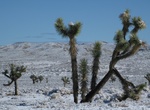 Off-road El Mirage Dry Lake, California