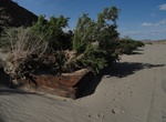 Find Afton Canyon Buried Boxcars, Mojave Desert, California