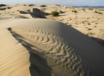 Hike or Sandboard North Algodones Dunes Wilderness, California