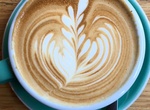 Grab Coffee at Federal & Wolfe Cafe, Auckland