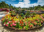 Visit Da Lat Flower Gardens, Da Lat, Viet Nam