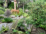 Visit Gibraltar Botanic Gardens (La Alameda Gardens), Gibraltar