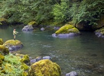 Explore Molalla River, Oregon