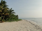 Visit Vijay Nagar Beach (No. 5), Havelock Island, India