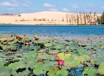 See Lotus Lake, Mui Ne, Viet Nam