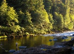 Fly-Fishing North Umpqua River, Oregon