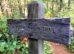 Hike or Ride North Umpqua Trail, Oregon
