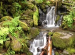See Fern Creek Falls, Oregon