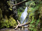 Hike Trestle Creek Falls Loop, Oregon