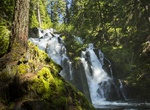 Hike to National Creek Falls, Oregon