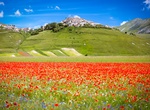 Visit Castelluccio di Norcia, Italy