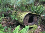 Explore Old Sawmill Boiler Trail, Tasmania, Australia