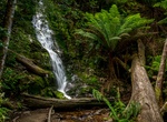 Hike to Evercreech Falls, Tasmania, Australia