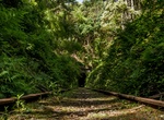 Explore Abandoned Train Tunnel, Tasmania, Australia