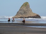 Attend Karekare Beach Races, New Zealand