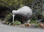 See Eketahuna Kiwi, New Zealand
