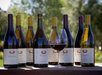 Wine Taste at Talley Vineyards, Arroyo Grande, California