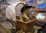 Visit Torrington Gopher Hole Museum, Alberta