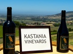 Wine Taste at Kastania Vineyards, Petaluma, California