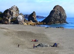 Explore Harris Beach State Park, Oregon
