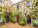 Attend Los Patios de Córdoba, Spain