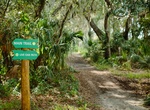 Visit Boyd Hill Nature Preserve, St. Petersburg, Florida