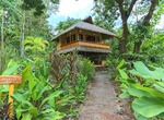 Stay at Copa De Arbol, Costa Rica