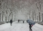 Walk Central Park in the Snow, NYC