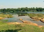 Explore Illithodu Eco Tourist Spot, Ayyampuzha, India