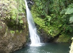 Hike to Karamatura Falls, New Zealand