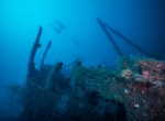 Wreck Dive MV Bianca C,  Grenada