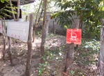 Visit Landmine Museum, Siem Reap, Cambodia
