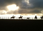 Ride Horses at Kahua Ranch, Waimea, Hawaii