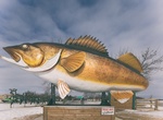 See Giant Walleye, Garrison, Minnesota