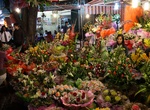 Visit Tam Bac Lake and Flower Market, Hai Phong, Viet Nam