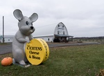 See Eichtens Cheese & Bison Rabbit, Center City, Minnesota