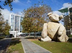 See Warren Bear, UC San Diego, California