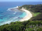 Visit Neds Beach, Lord Howe Island, Australia