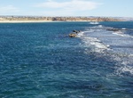 Snorkel Port Noarlunga Reef Aquatic Reserve, South Australia