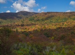 Explore Graveyard Fields, Blue Ridge Parkway, North Carolina