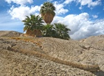 Visit Five Palm Oasis, Anza-Borrego Desert State Park, California