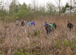 Hike Cowles Bog Trail, Indiana Dunes National Park, Indiana