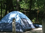 Camp at Dunewood Campground, Indiana Dunes National Park, Indiana