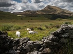 Explore Snowdonia National Park, Wales