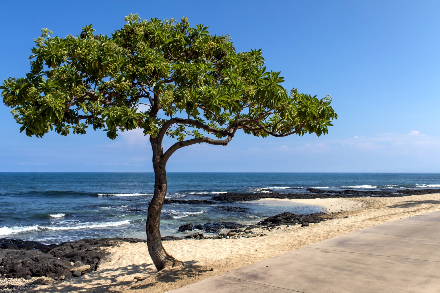 Ho‘okena Beach Park & Kauhakō Bay