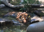 Visit Charles Paddock Zoo, Atascadero, California