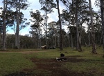 Camp at Polblue Campground, Barrington Tops National Park, NSW, Australia