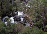 Hike Gloucester Falls Walking Track, Barrington Tops National Park, NSW, Australia