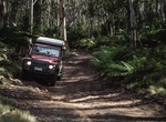 Off-road Barrington Trail, Barrington Tops National Park, NSW, Australia