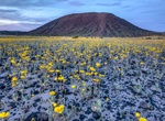 Hike to Amboy Crater, Southern California